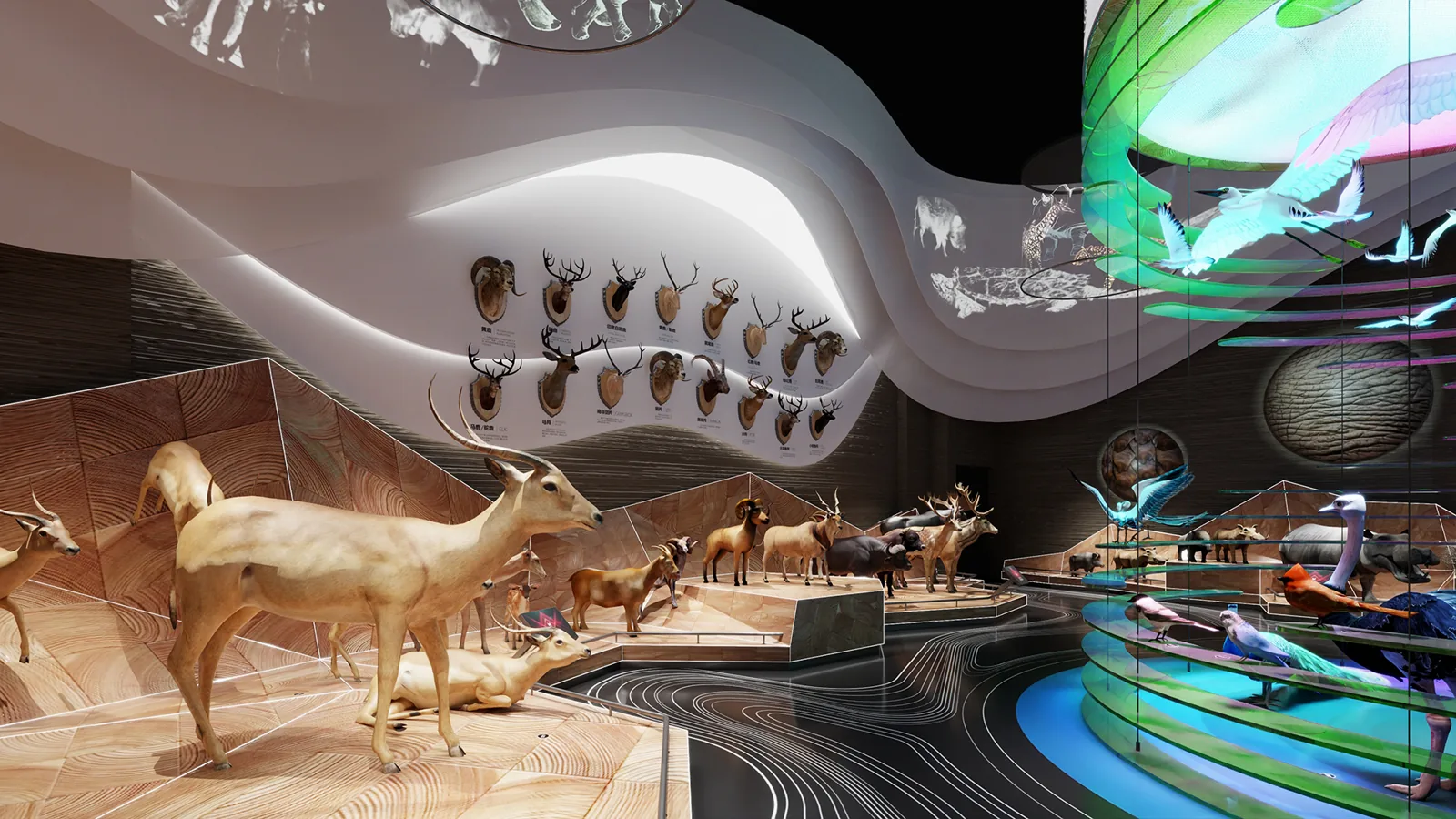 Life, Humanity and Natural History Galleries — project archive image 4