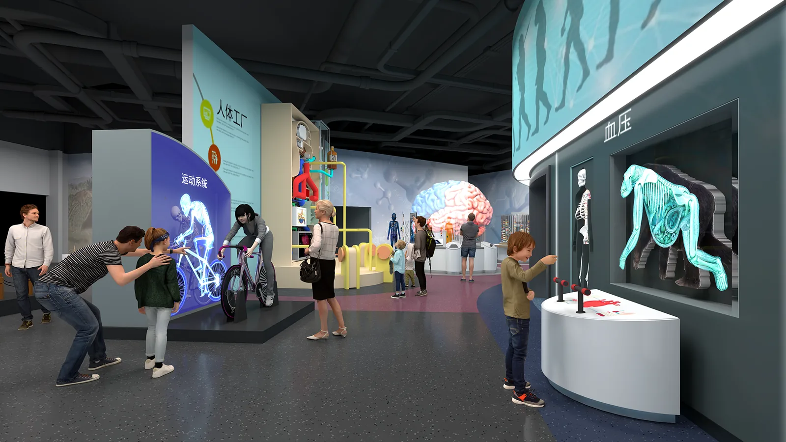 Human Journey Gallery — design visualization 2