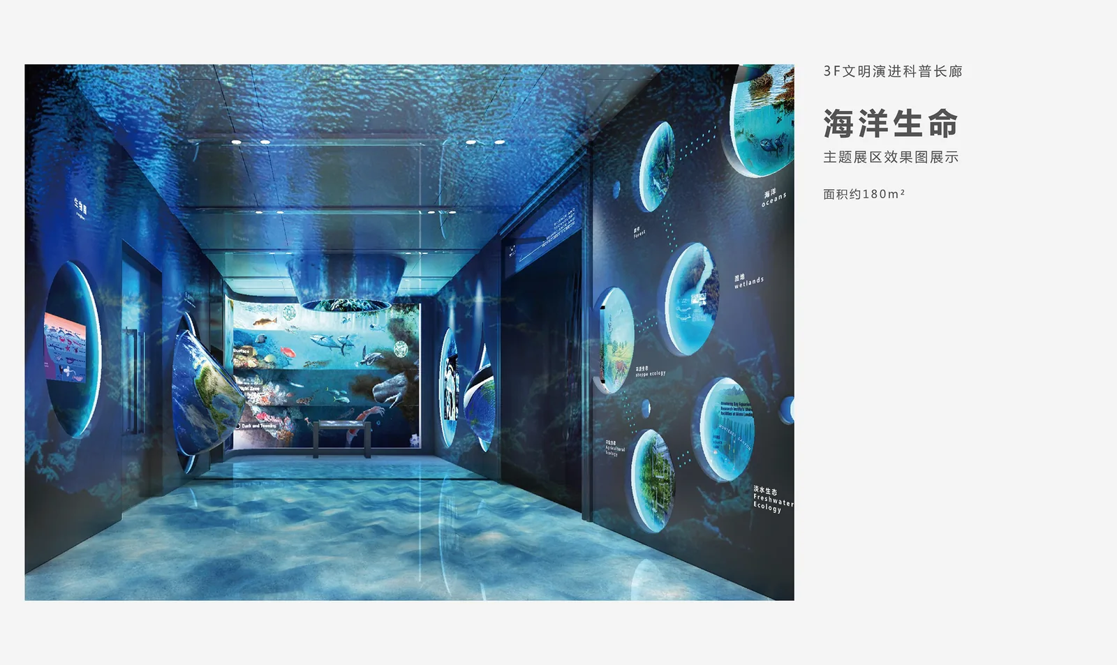 Evolution of the Universe Corridor — design visualization 3