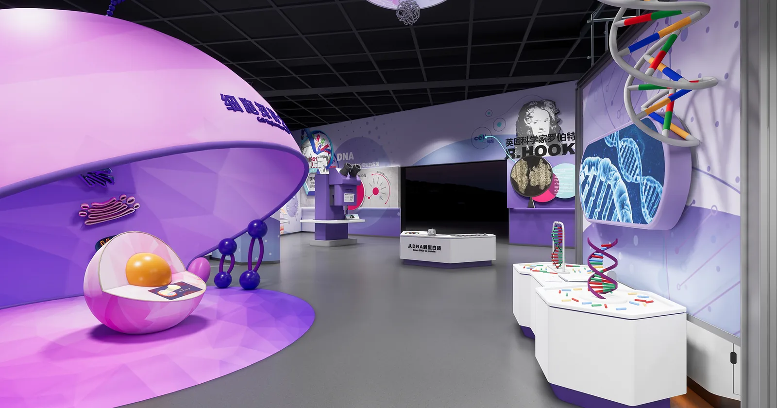 The DNA Double Helix — detailed exhibit design visualization 2