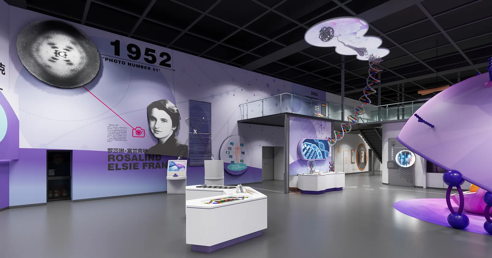 The DNA Double Helix — detailed exhibit design visualization 3
