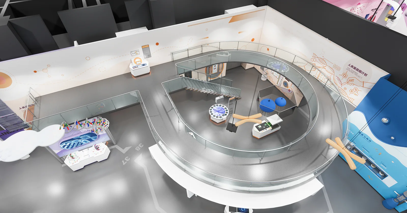 The Human Genome Project — detailed exhibit design visualization 2