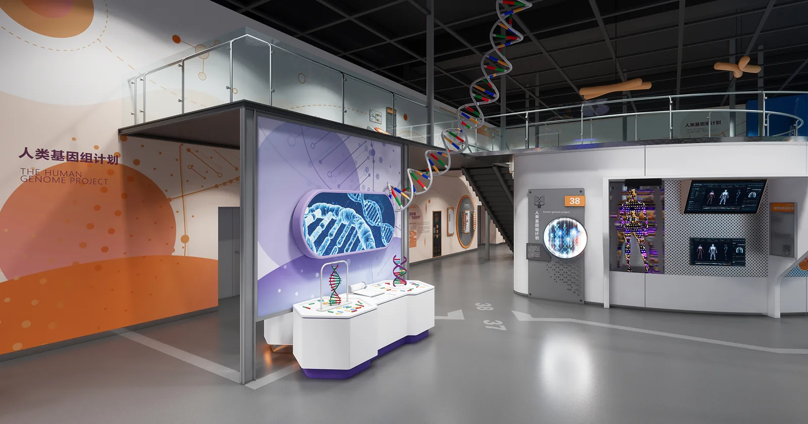 The Human Genome Project — detailed exhibit design visualization 3
